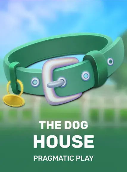 The dog house